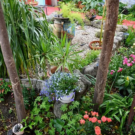 Σπίτι διακοπών Katia's