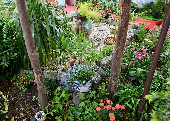 بيت للعطل Katia's